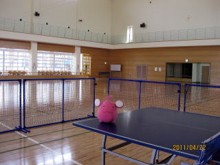 pingpong